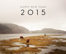 Frohes Neues Jahr 2015