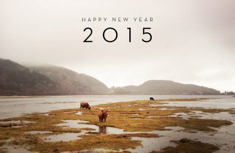 Frohes Neues Jahr 2015